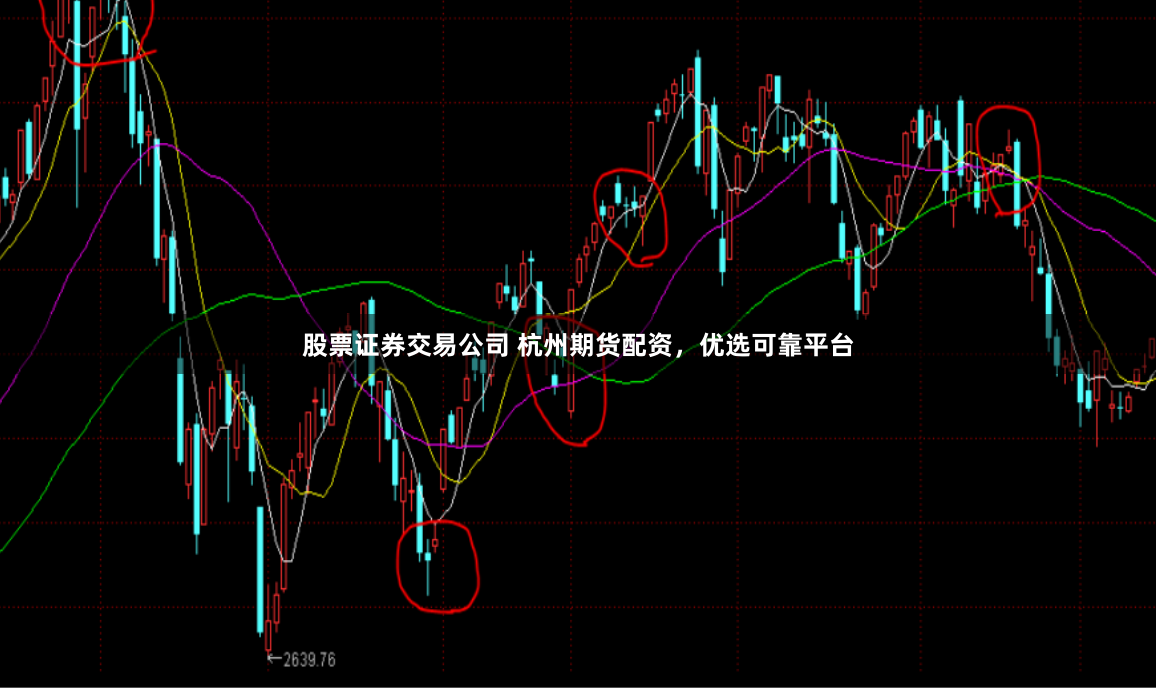 股票证券交易公司 杭州期货配资，优选可靠平台